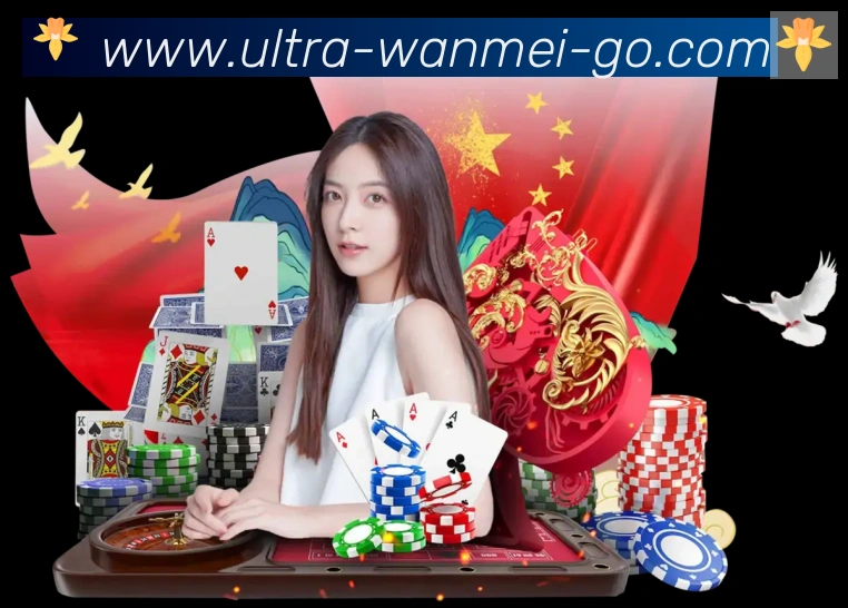 未来规划